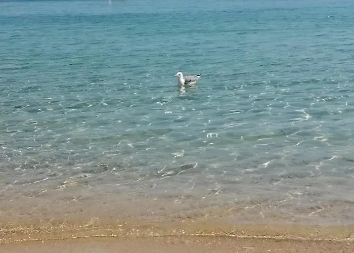 Perla Paralia Dionysiou