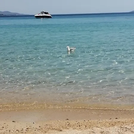 Perla Paralia Dionisiou